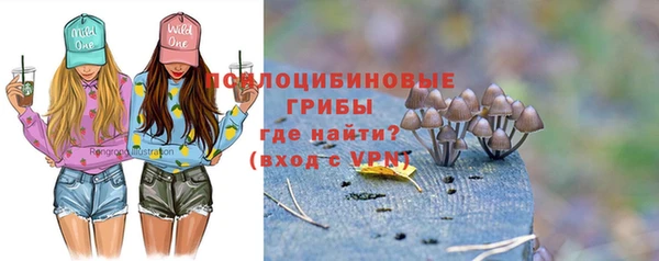 прущие грибы Пестово
