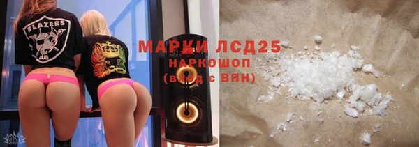 прущие грибы Пестово
