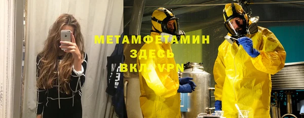 прущие грибы Пестово