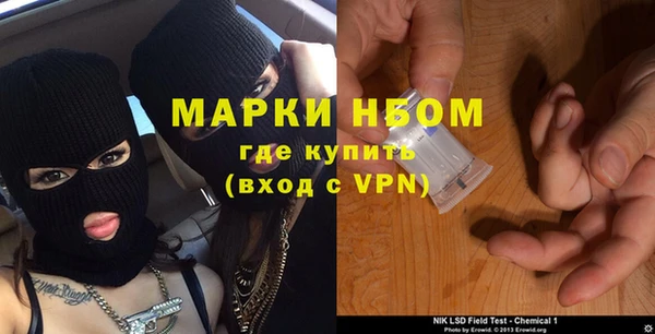 прущие грибы Пестово