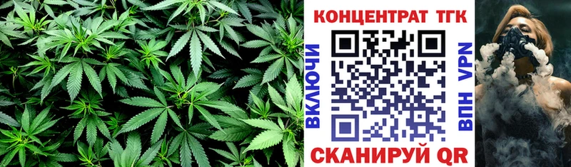 KRAKEN как войти Коркино ТГК гашишное масло